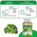Liposomal Sulforaphane supplement