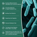 Probiotic Capsules