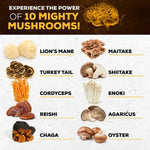 10 in 1 Mushroom Complex Capsules